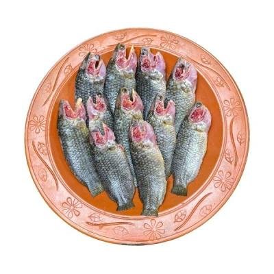 দেশি কই মাছ